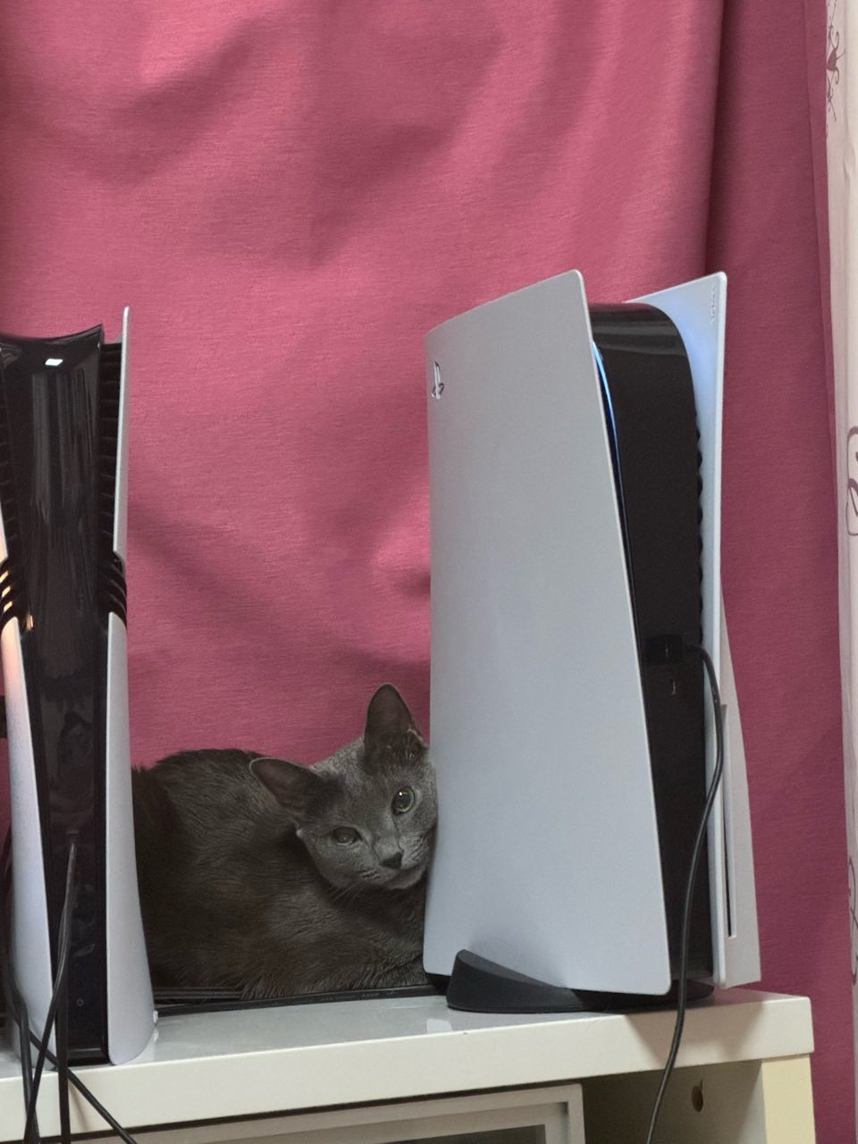 這裡怎麼不熱了啦