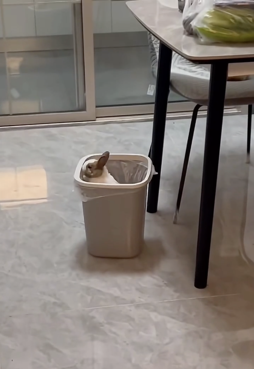 奴才：我相信我沒有猜錯啦