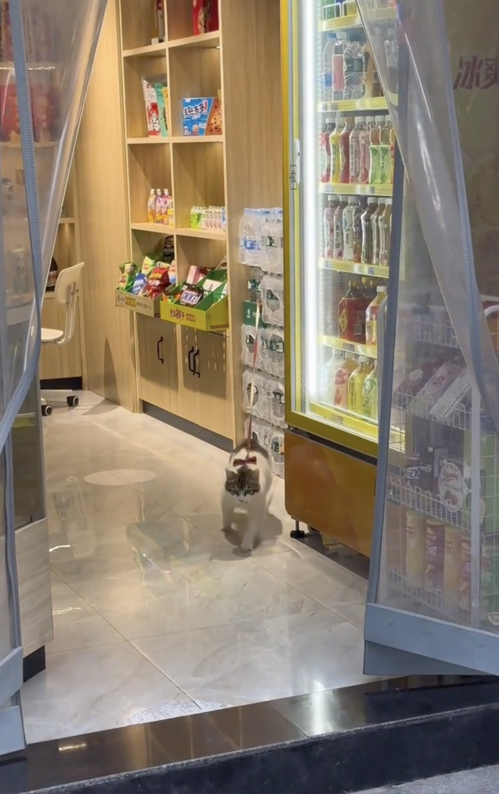 奴才：所以要搞點事情是吧