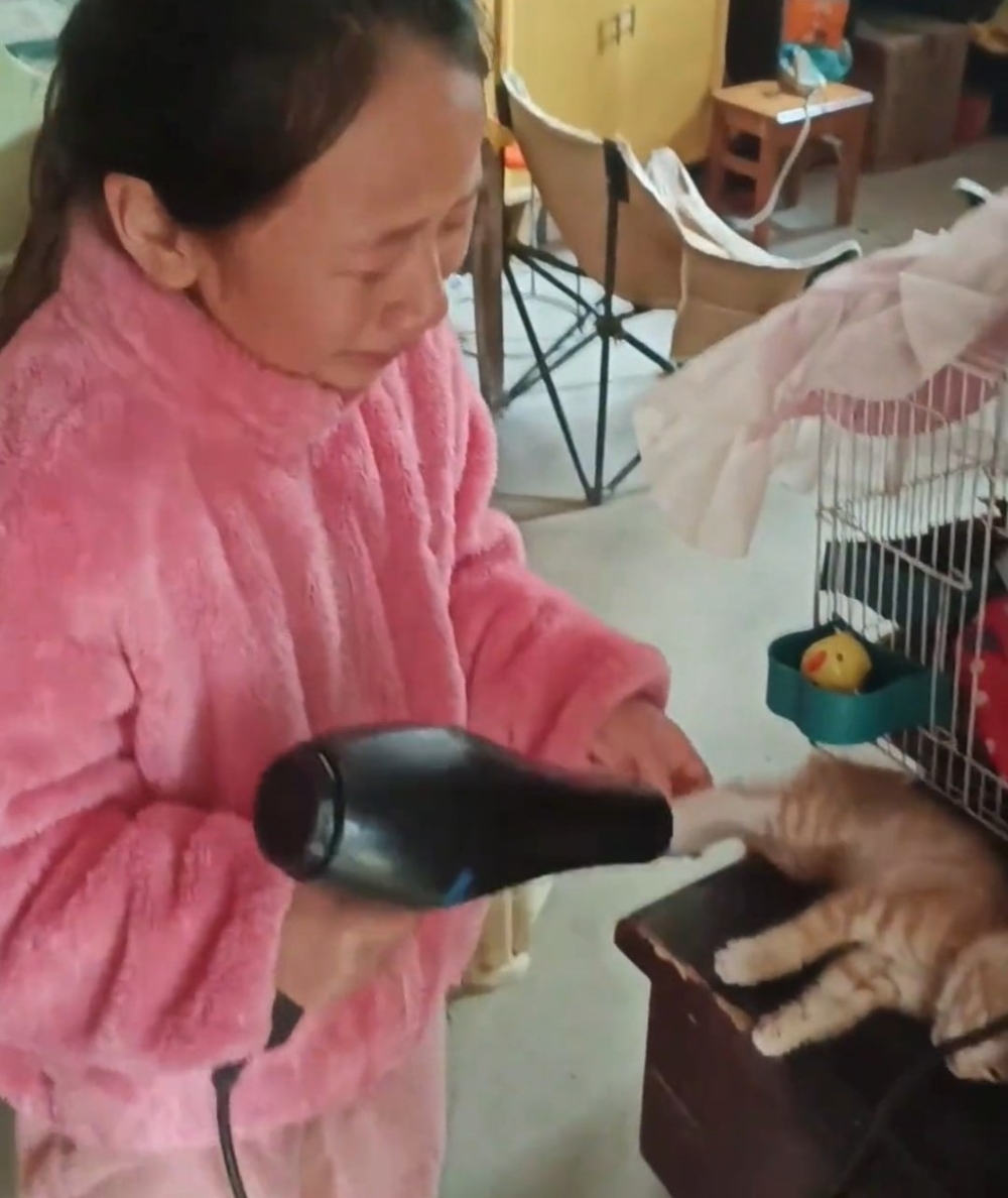 小貓動也不動把小女孩給嚇壞了。