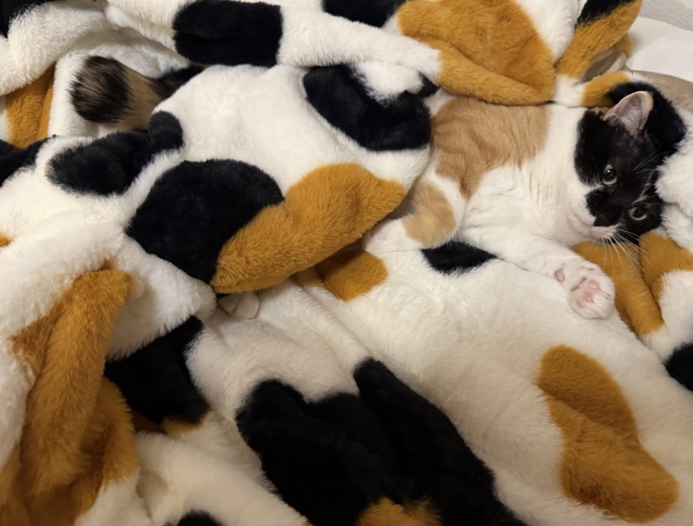 太厲害躲了啦～