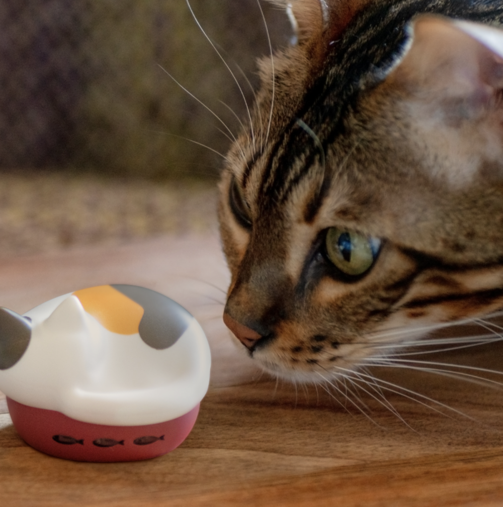 大家看了會想選哪款呢？