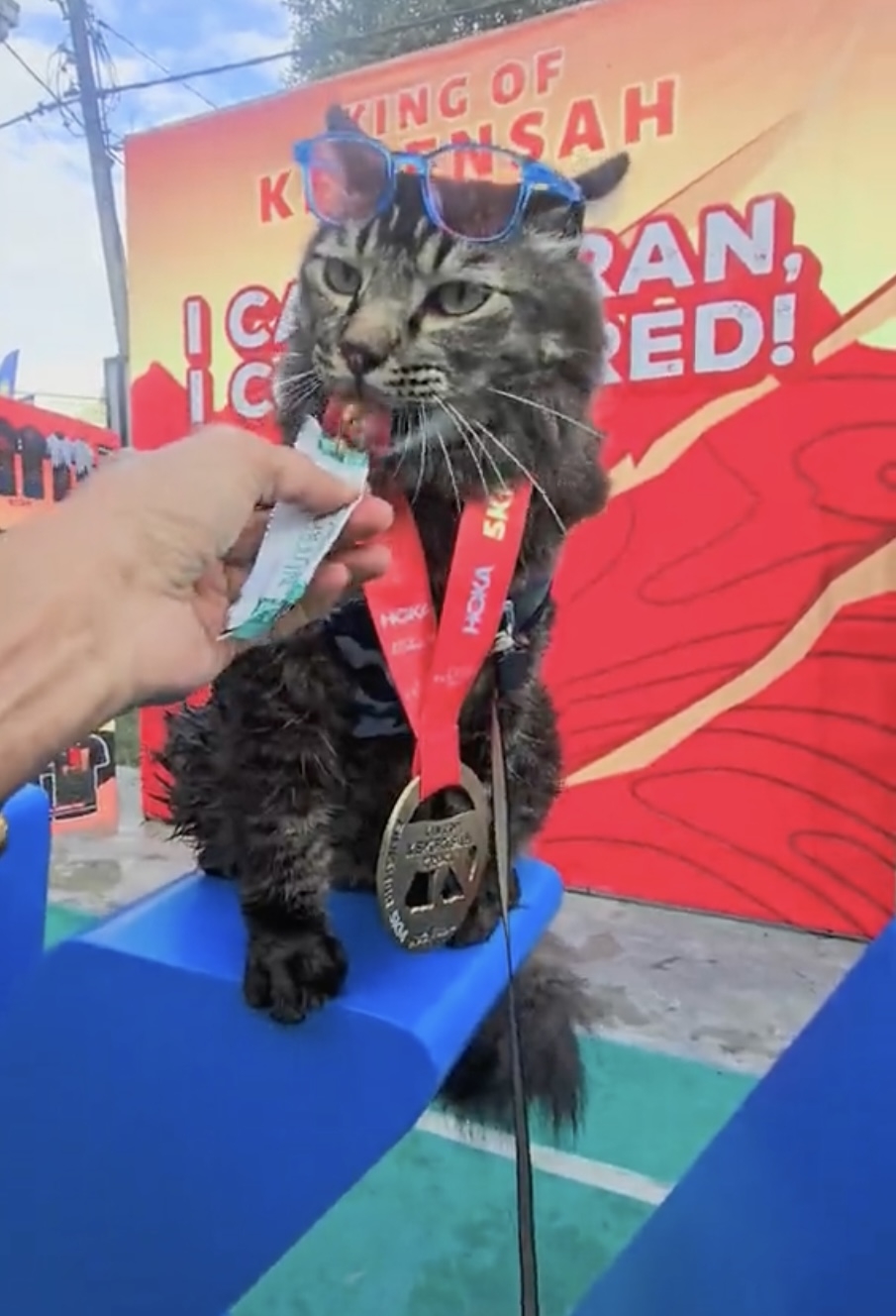 減肥永遠都是明天的事啦～