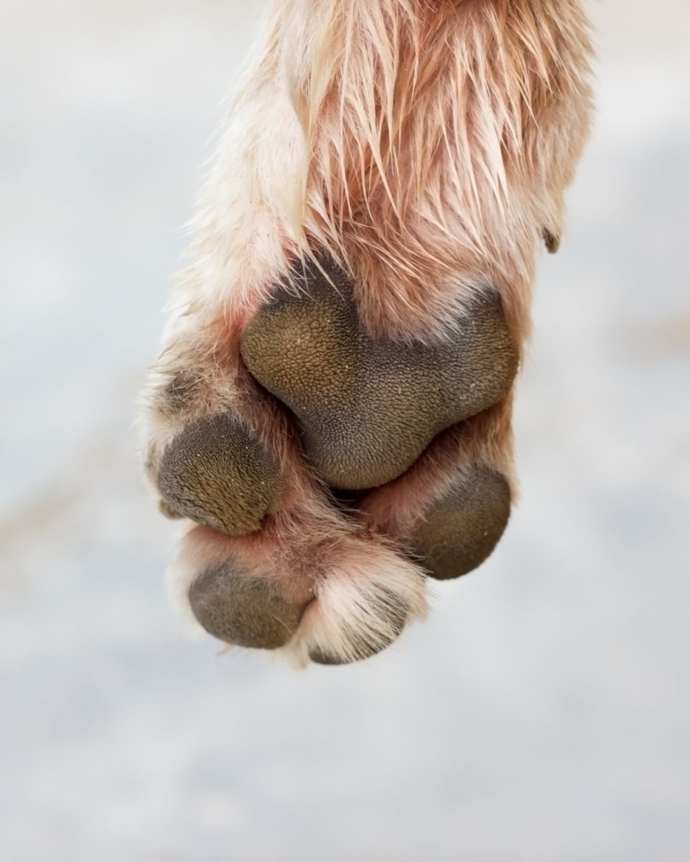 個性可能比較高冷且具有主見喔！