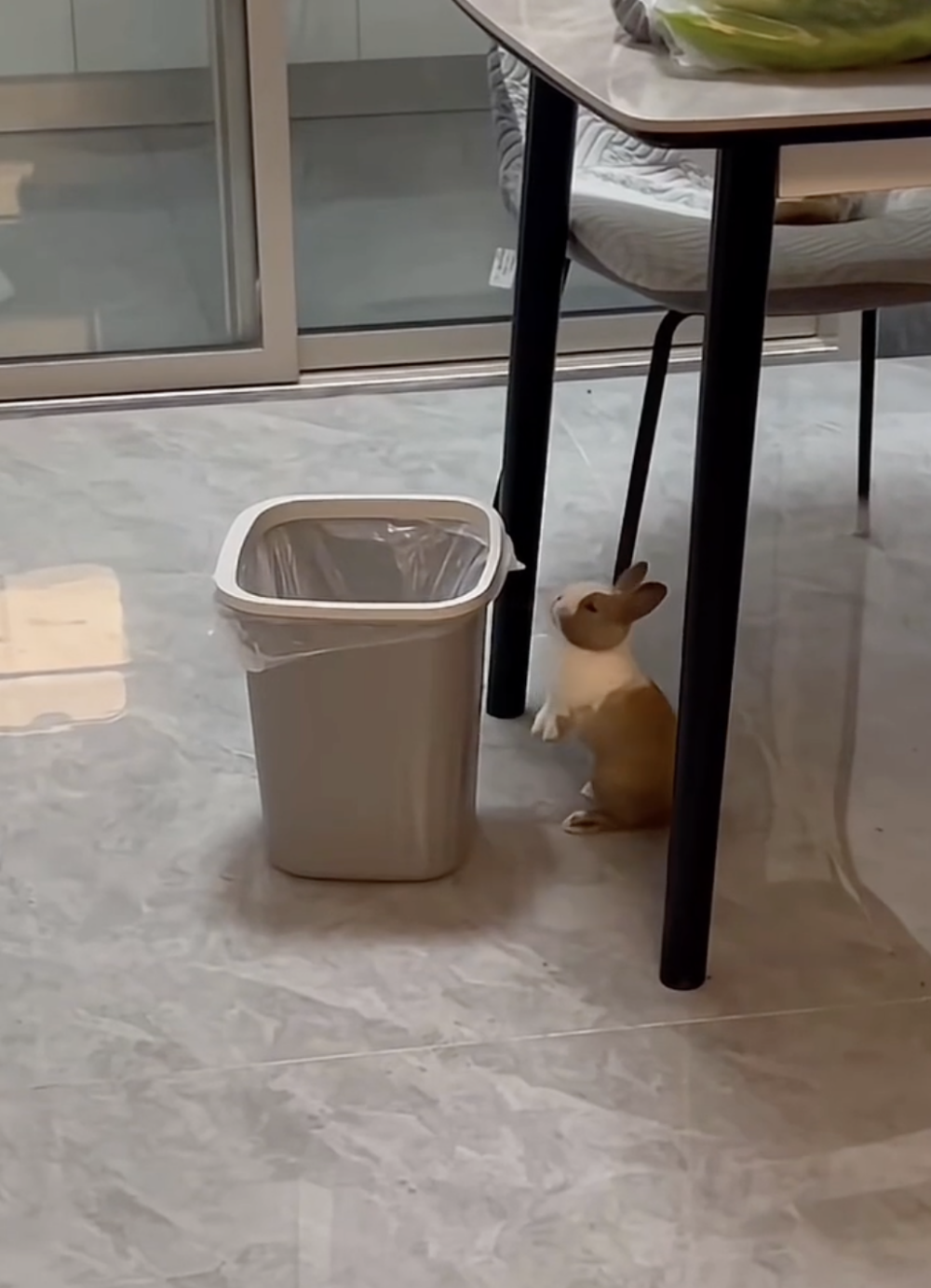 奴才：哇噻，投籃都沒那麼準