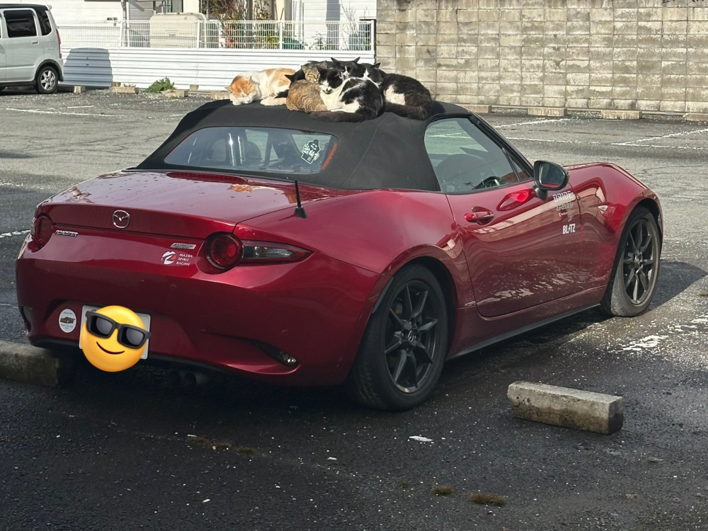 這一幕怎麼看著有點暖心～