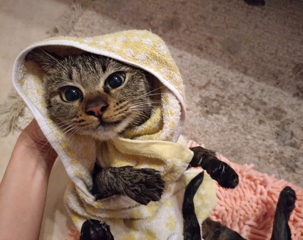 表情怎麼這麼搞笑啦~