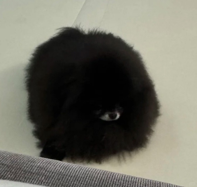 真的要好好看清楚啦～