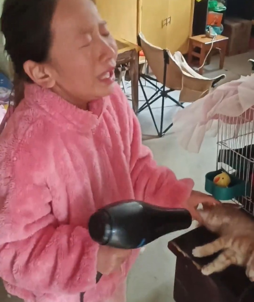 小女孩用風筒為一隻凍僵的小貓取暖。