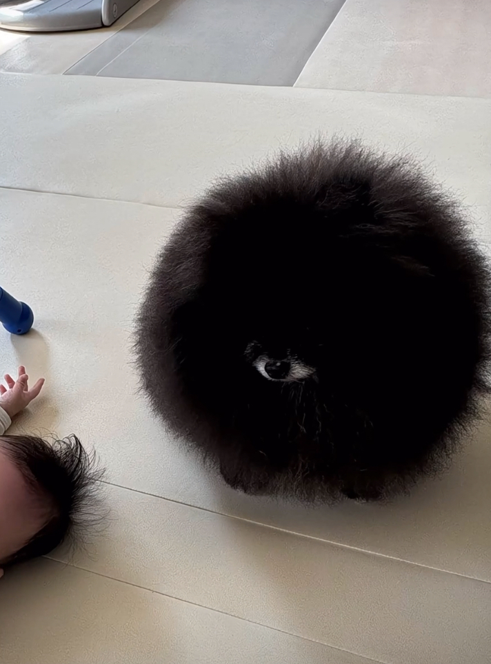 真的確定這不是「獨眼怪物」嗎