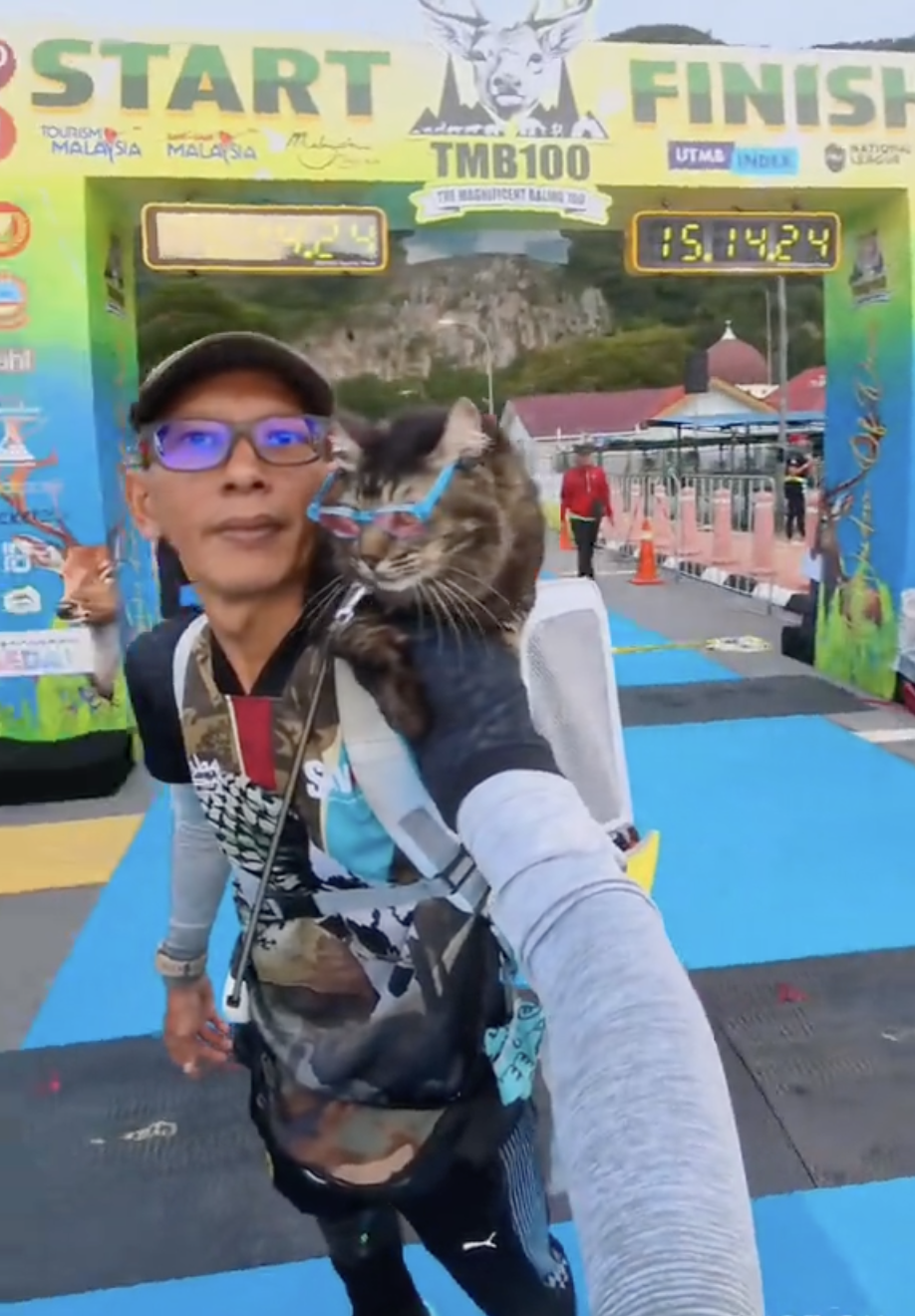 貓貓也要參加馬拉松！