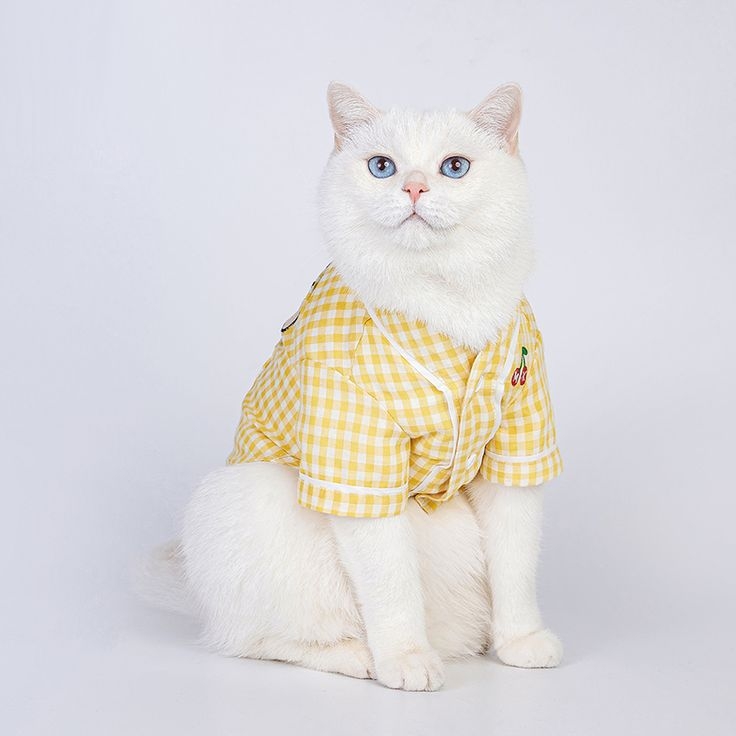 這樣就不會冷了～