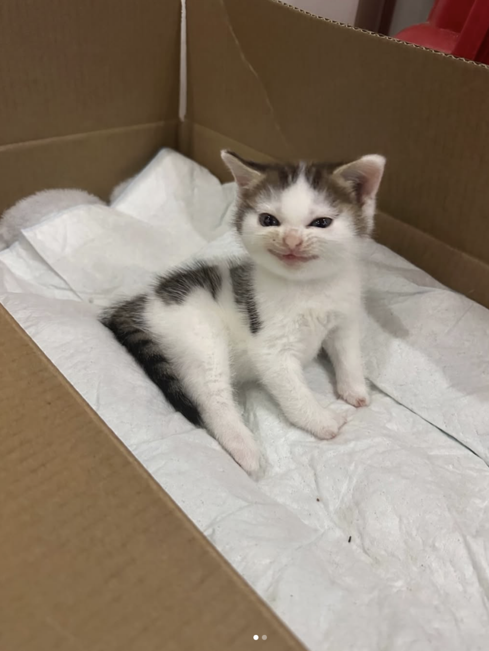 小时候的「小汤圆」