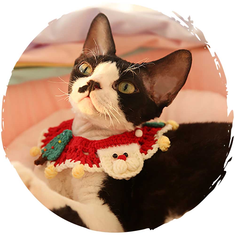 貓咪聖誕頸巾。