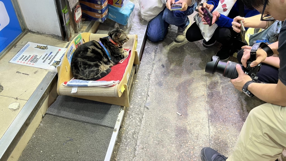 不少阻B粉爭著影相。