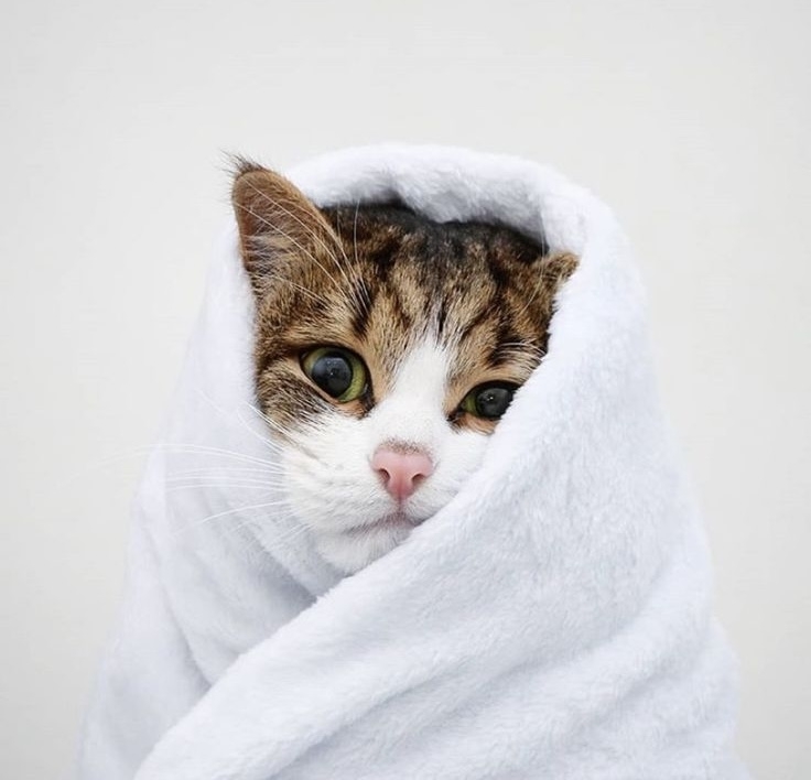 如果持續流眼淚且無外界刺激，應儘早就醫檢查！