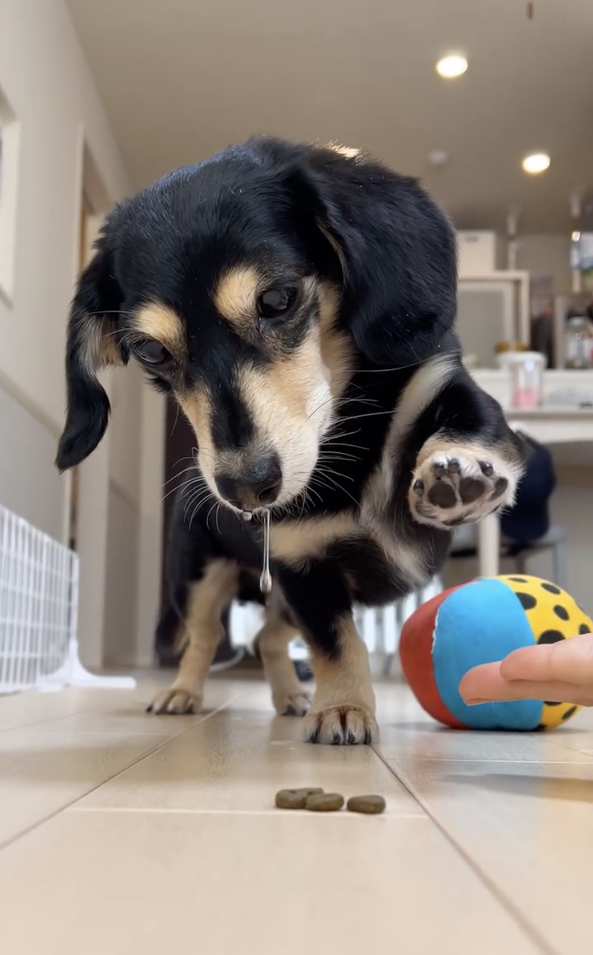 口水流一地了啦～