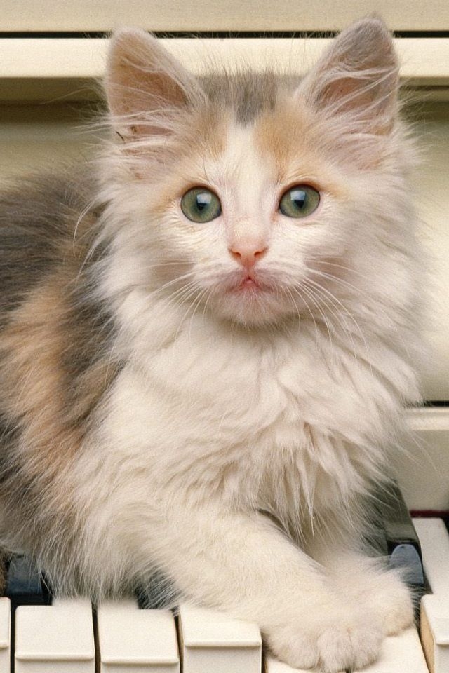 保持室內清潔與通風，避免灰塵和煙霧刺激！