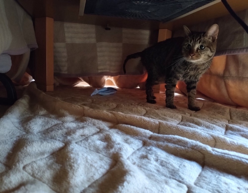 被安排洗澡了喔～