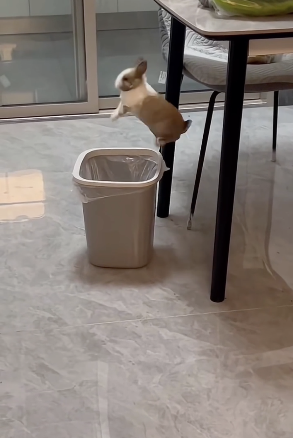 奴才：你好像不對勁喔