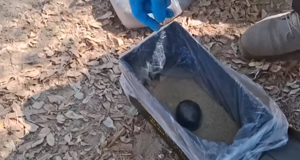 裝在紙箱中的土製炸彈。