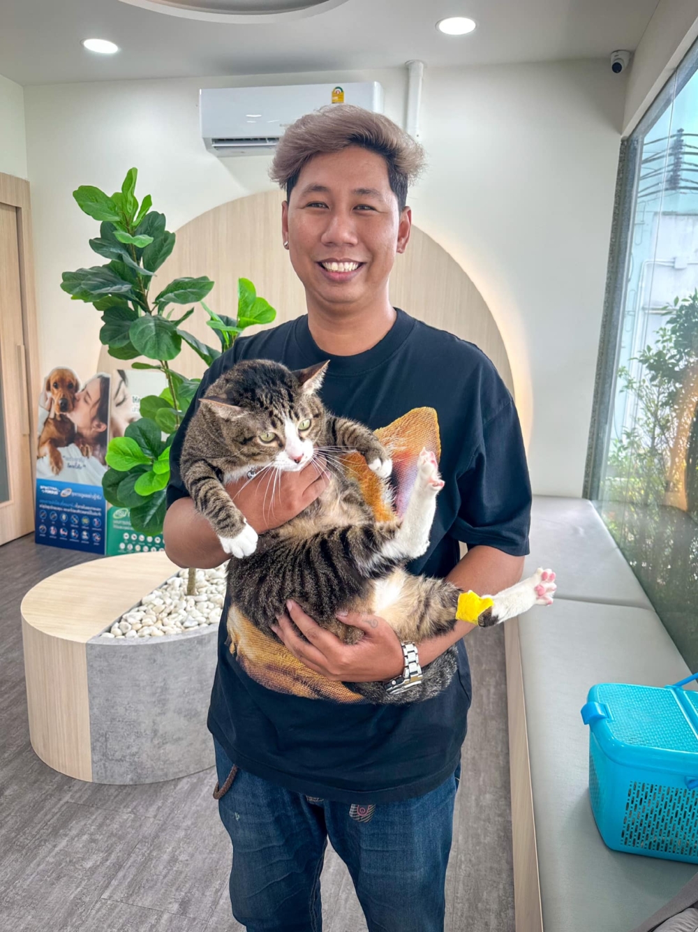 貓貓生命沒有危險，各位不用擔心～