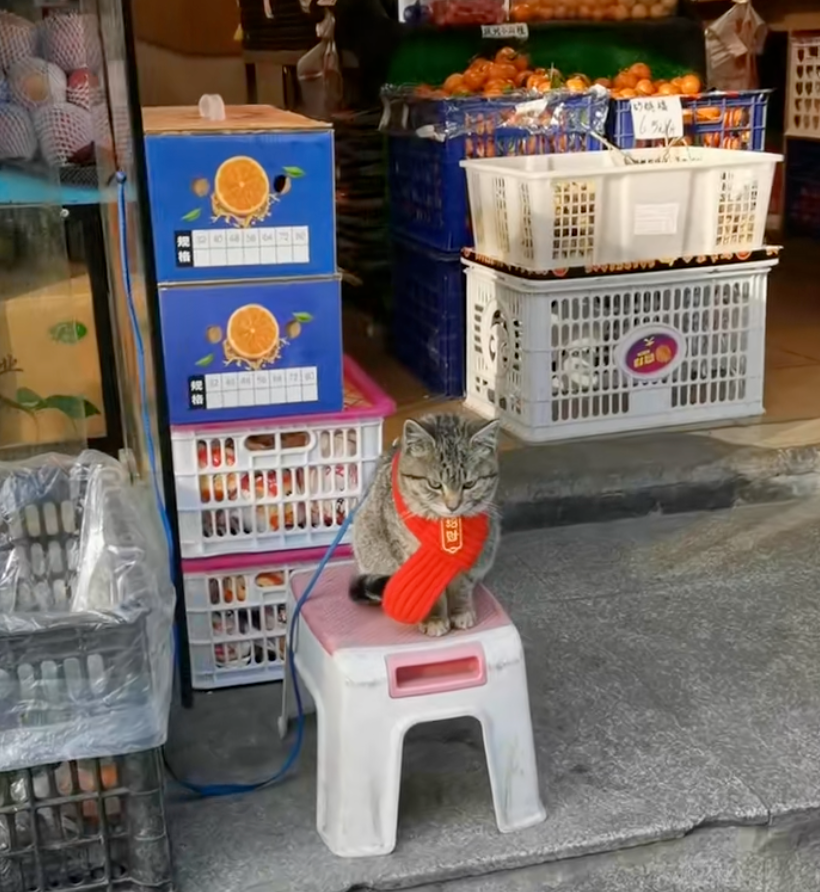 整體業績竟翻了一倍！