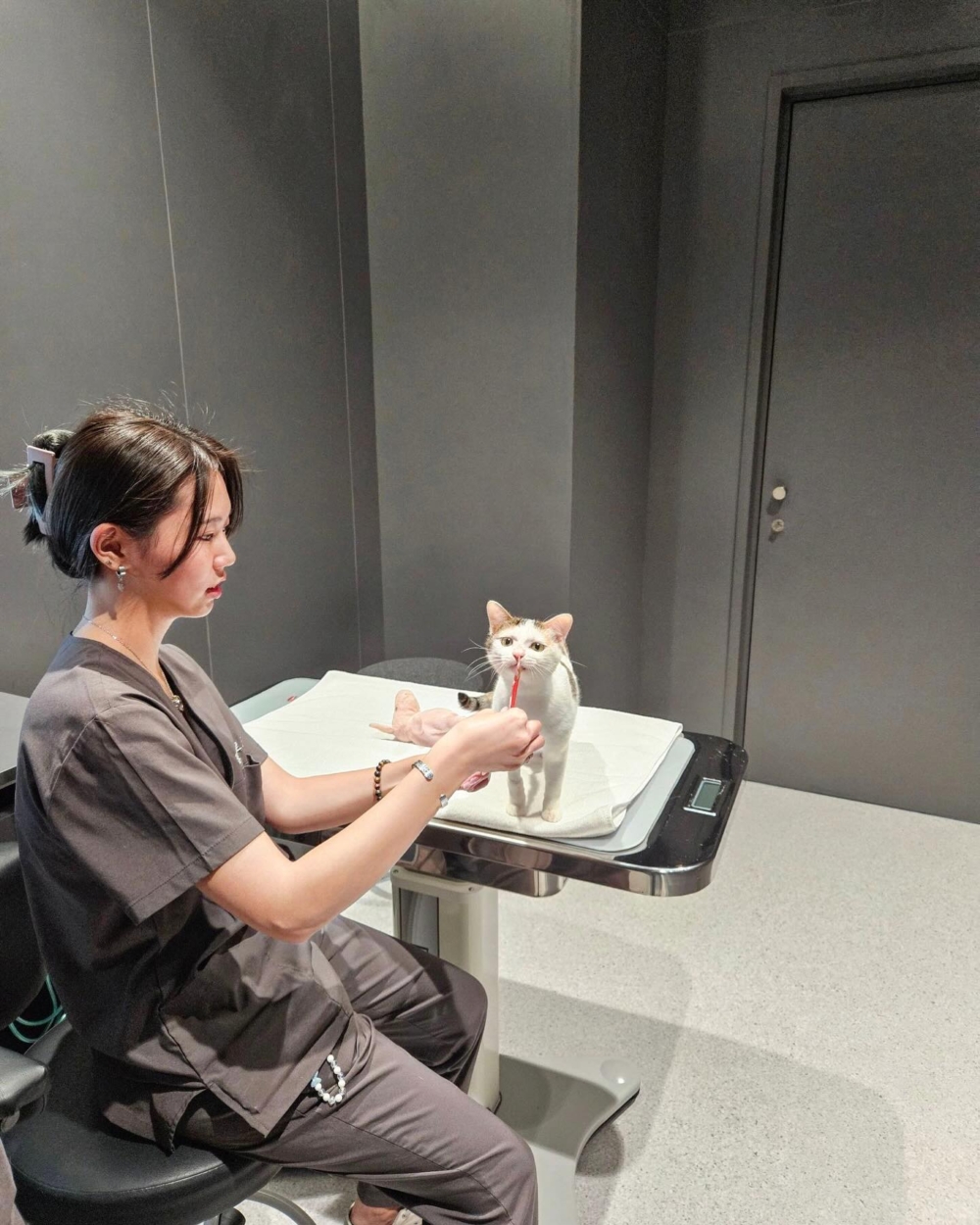 大群動物醫院（台北）