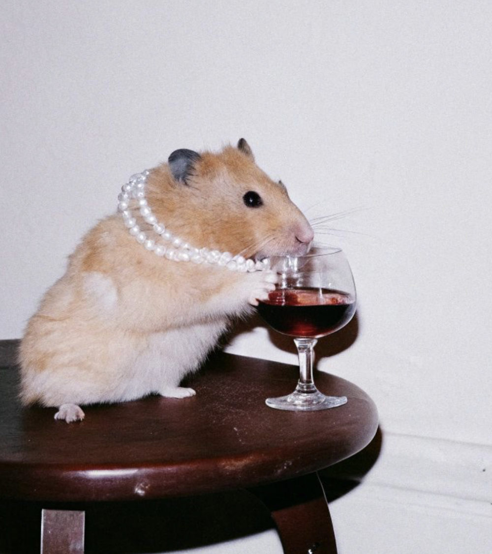 這些飲品有害倉鼠的神經系統和心血管系統。