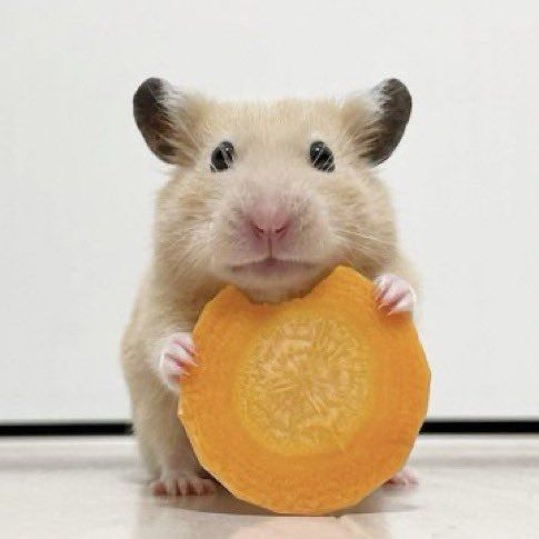 不新鮮的食物含有細菌。