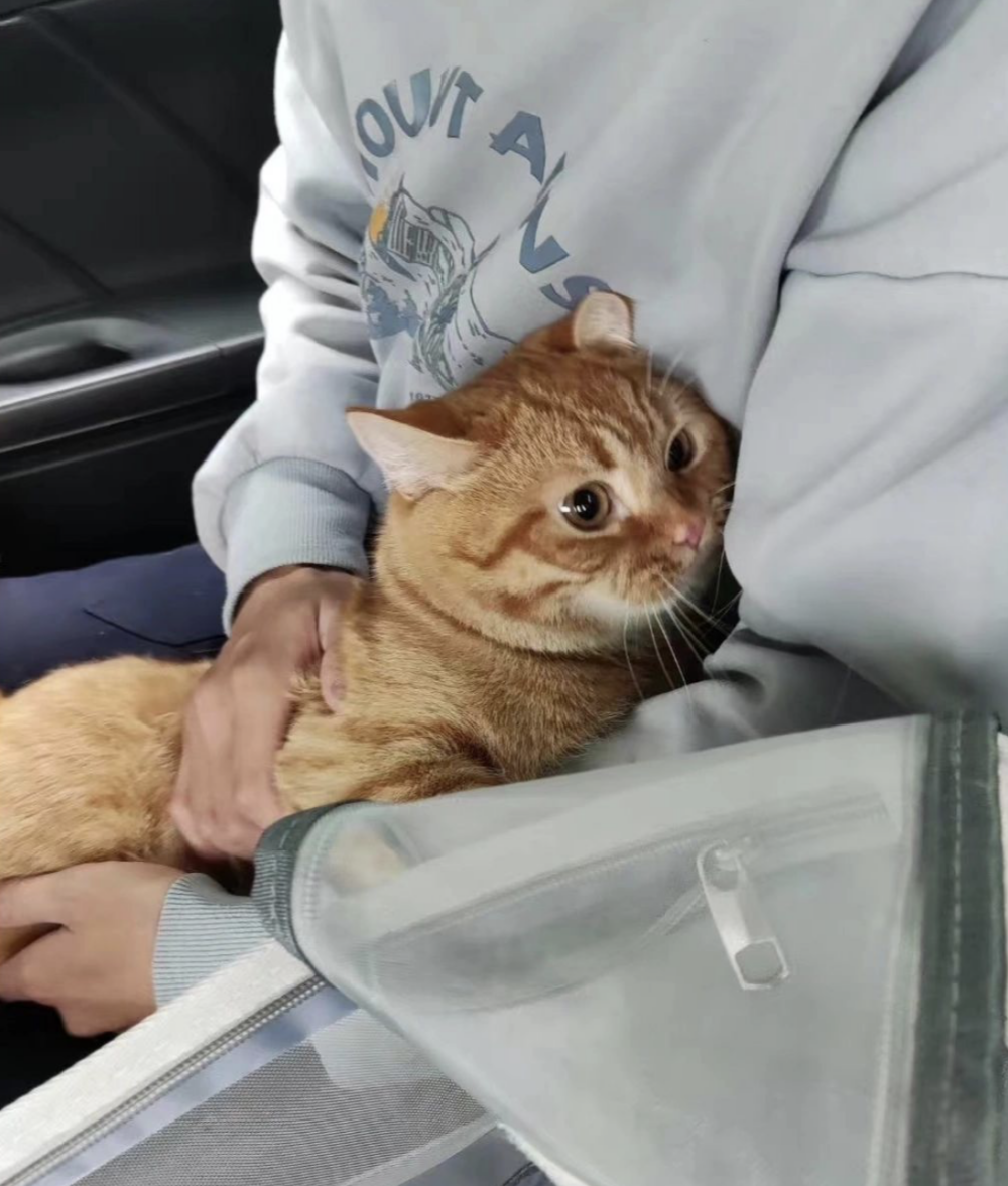 要多觀察環境避免毛孩受驚嚇喔~