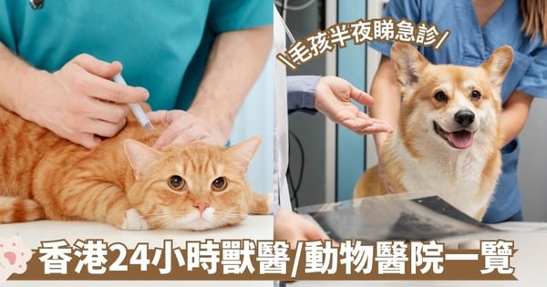 寵物急診2025｜全港24小時獸醫急症醫院名單一覽 附收費、地址、電話 上門服務專用救護車