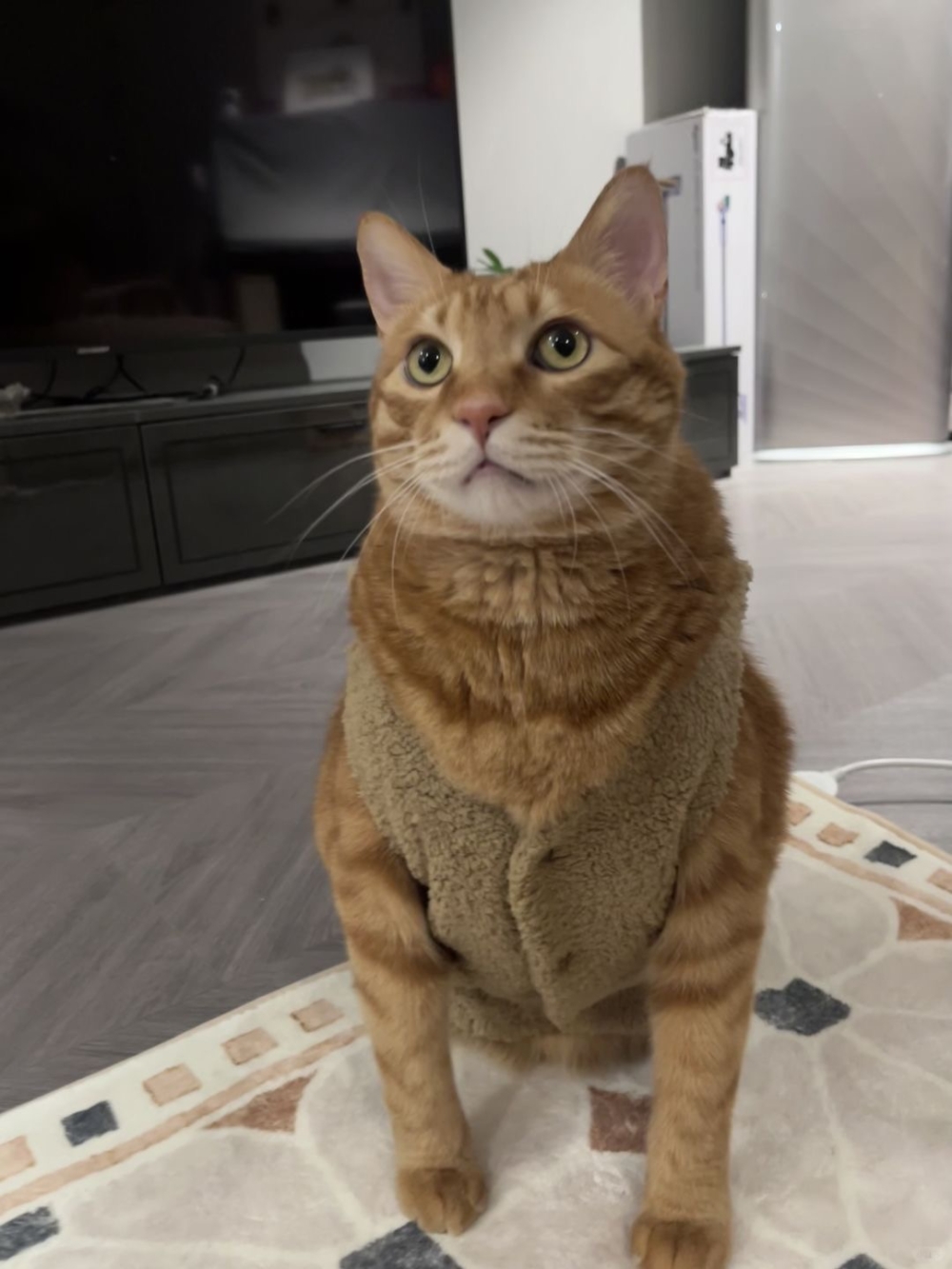 看起來很合身呢～