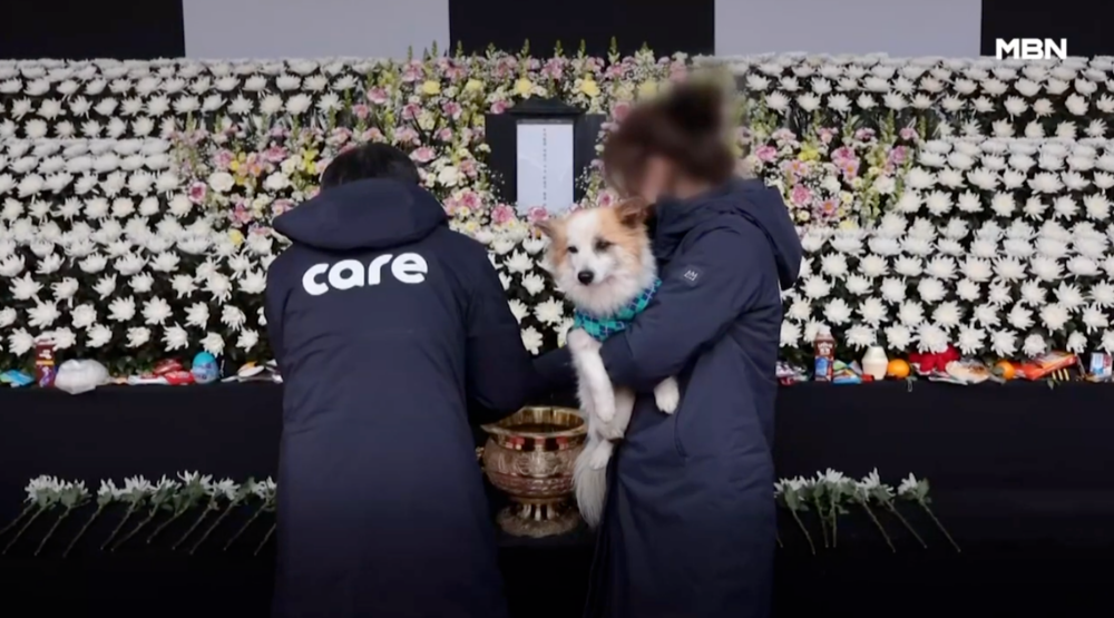 布丁跟飼主一家做最後一次的道別。