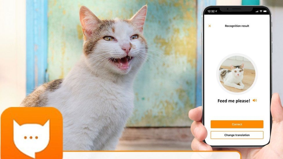 「MeowTalk」感應到貓咪的叫聲後，AI就會自動翻譯為「人話」。