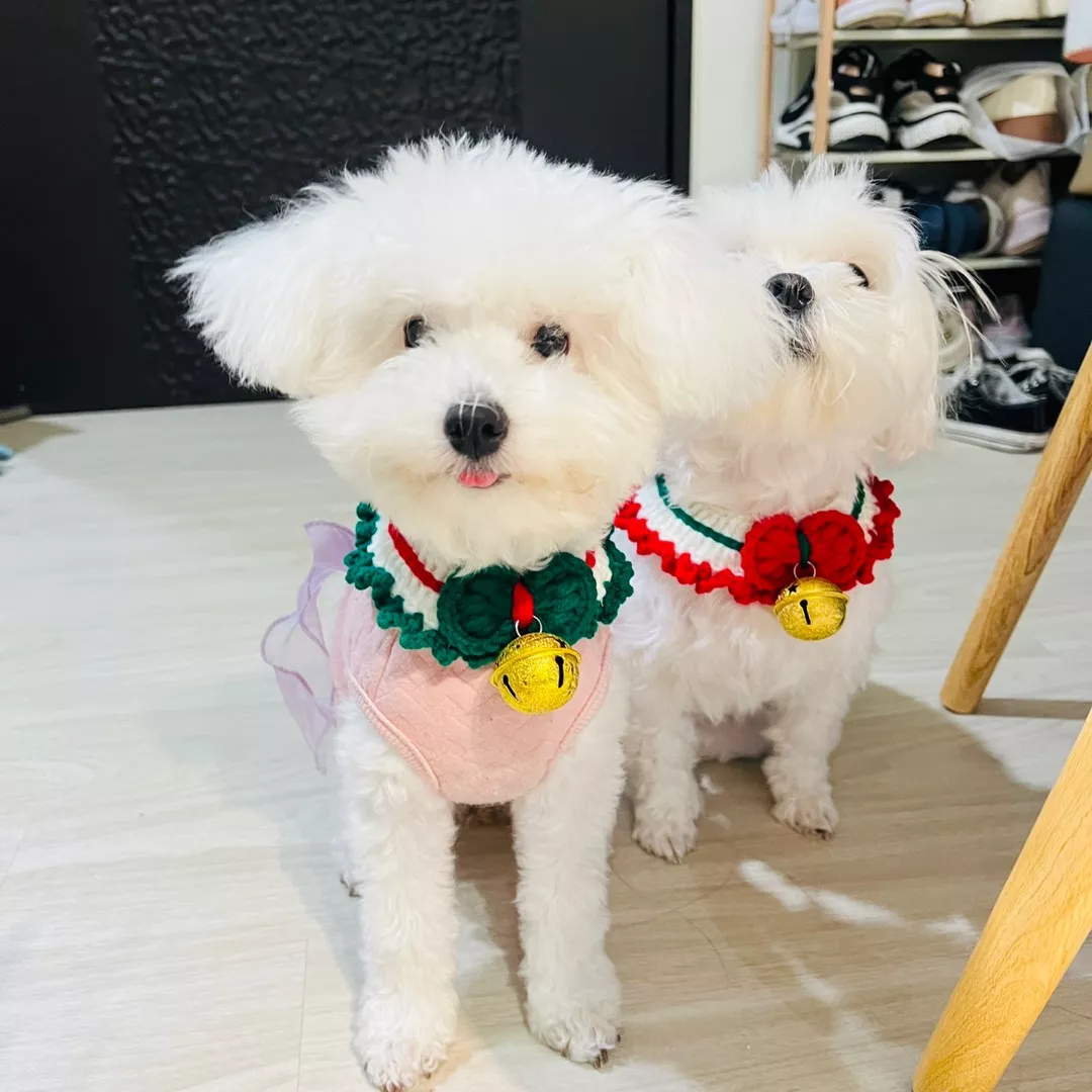 設計款式和顏色都好好看。