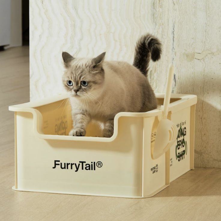 貓砂飛散導致家裡地面骯髒。