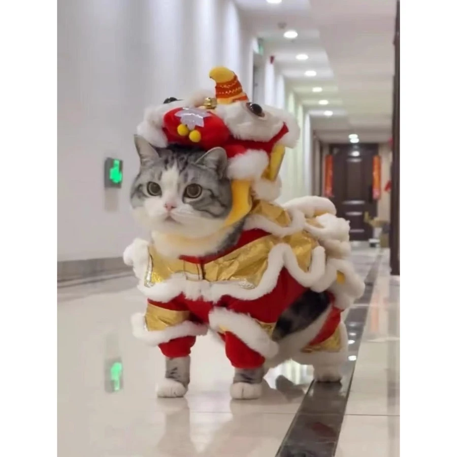 猫咪舞狮造型。