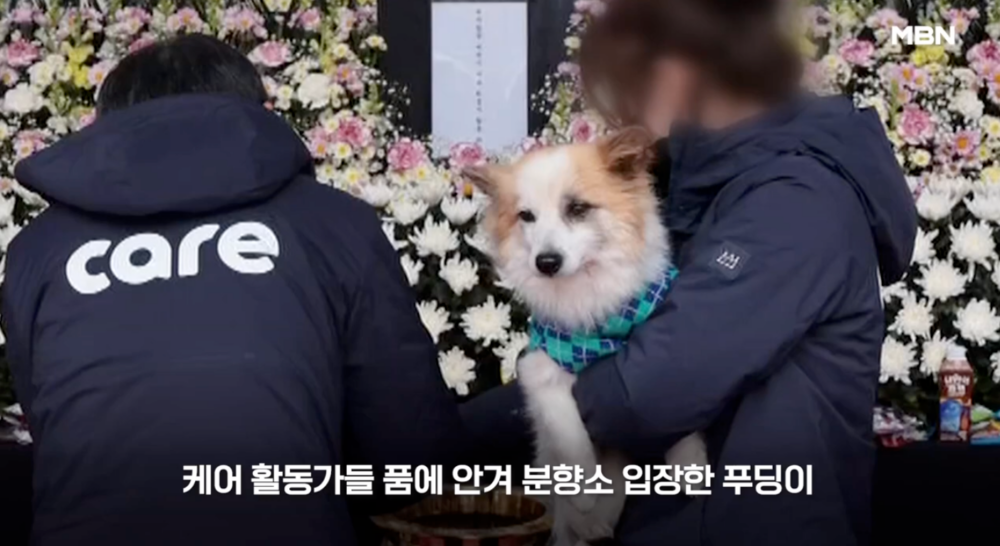 布丁前往靈堂，全程沒有一聲吠叫。