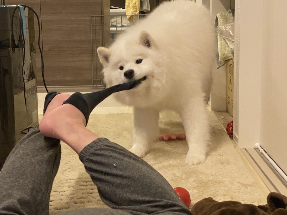 小哈庫的另一面～