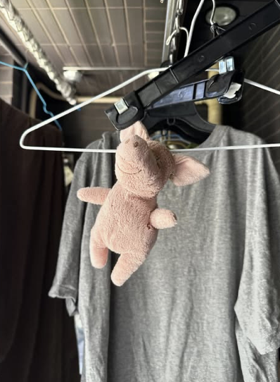 小豬玩偶被拿去洗了。