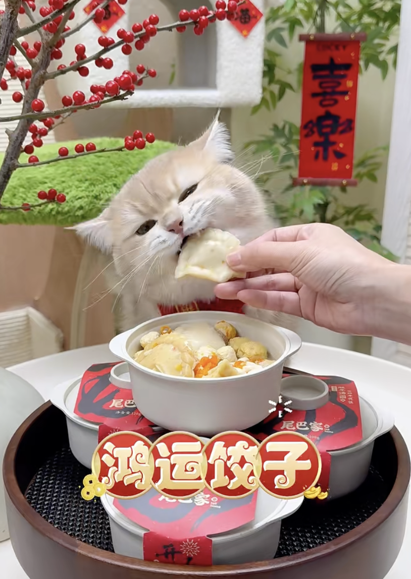 一起為毛孩做年夜飯吧！