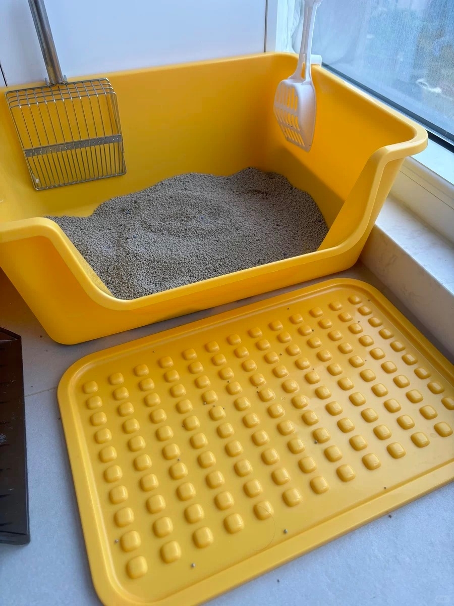 方便貓咪自由進出。