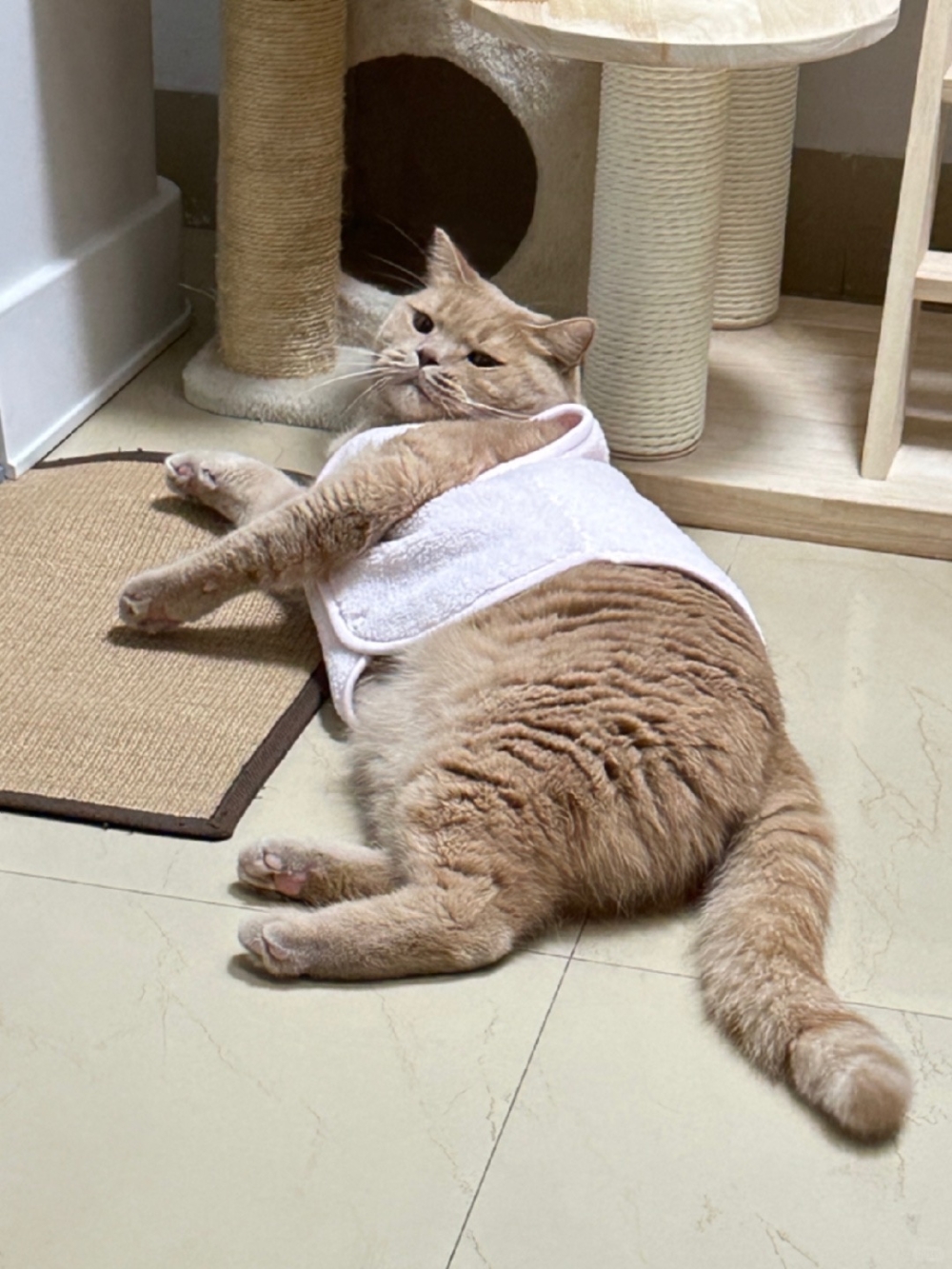 材質舒服，彈性良好～