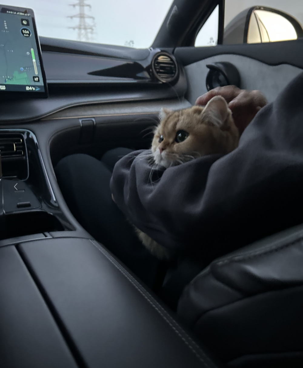 提前準備營養補充～