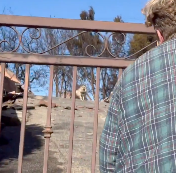 男子試圖呼喚Oreo名字。