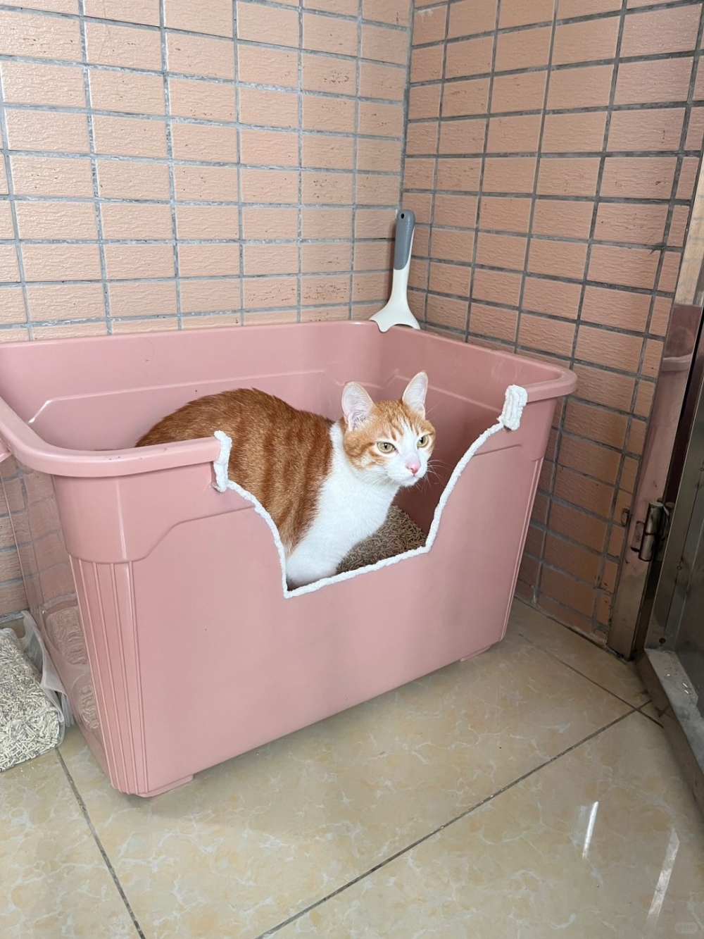 清潔與健康監控