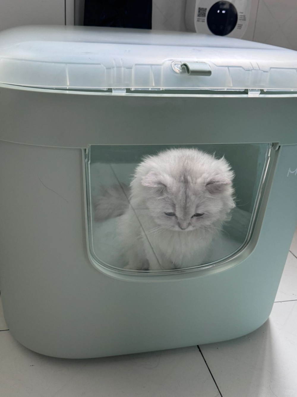 有蓋貓砂盆可以防止貓砂飛濺。