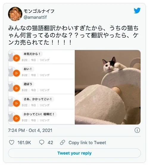 日本作家就曾分享自己的使用心得。