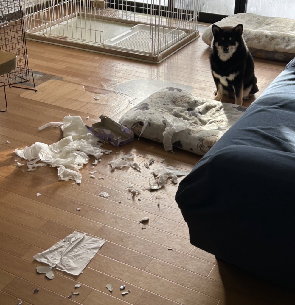 原來不是第一次！